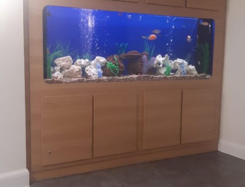 Custom Aquarium – Doves Nest Care Home – Olea Care Group