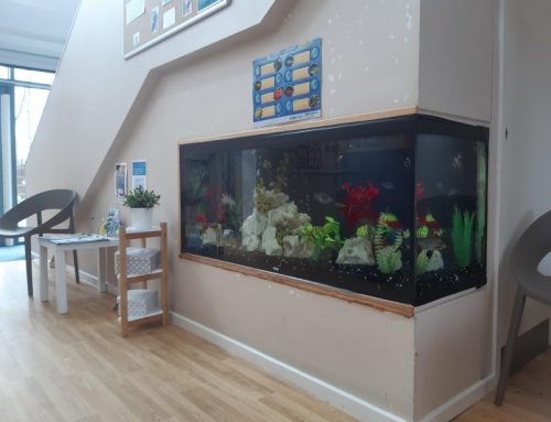 Custom Built-in Aquarium – Bright Horizons Trafford Nursery