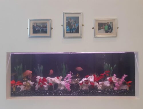 Custom Built-in Aquarium in Primary School Entrance