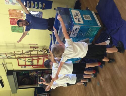 AquaExplorer Rockpool Experience, Oughtibridge Primary School